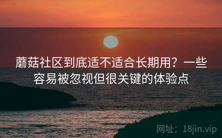 蘑菇社区到底适不适合长期用?一些容易被忽视但很关键的体验点 蘑菇社区到底适不适合长期用?一些容易被忽视但很关键的体验点